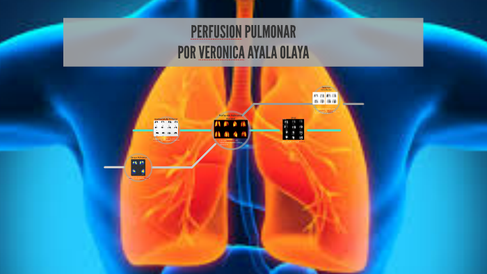 PERFUSION PULMONAR by MAIDY DELGADO on Prezi