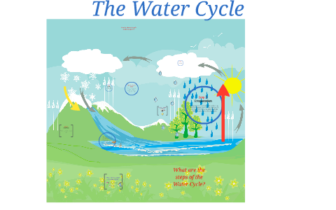 What's the Water Cycle? by