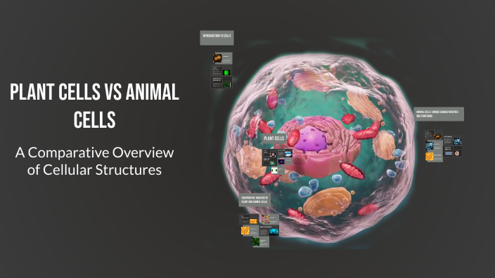 Plant Cells vs Animal Cells by Isabella Aracely Bracamontes-Romo on Prezi