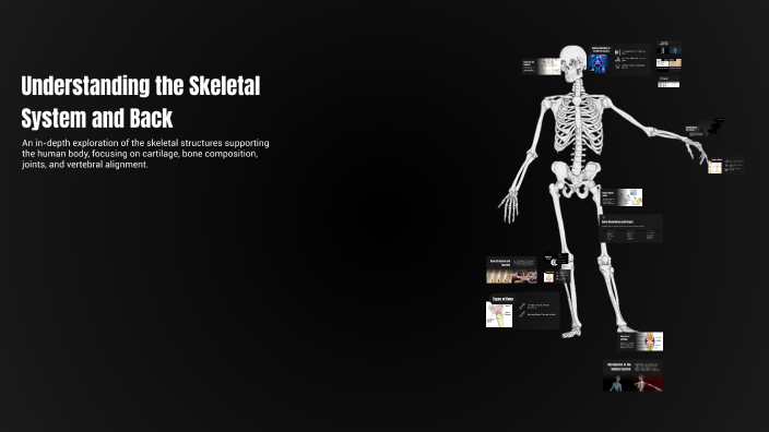 Understanding the Skeletal System and Back by Hazy on Prezi