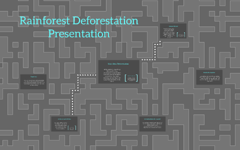 Rainforest Deforestation Presentation by Steven Schroeder on Prezi