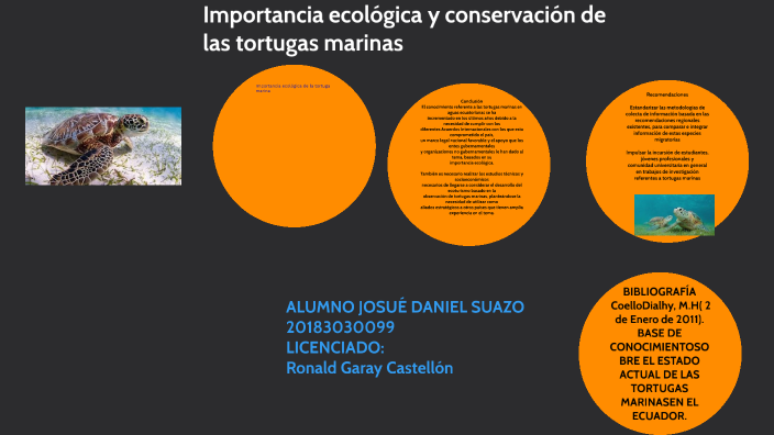 Importancia ecologíca y conservación de las tortugas marinas by Josue ...