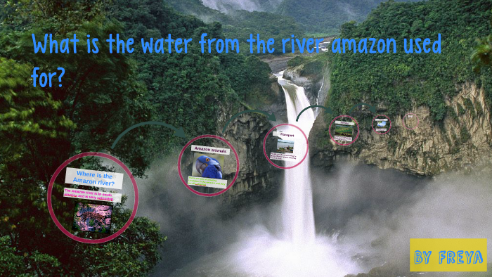 What is the water from the river amazon used for? by Year 5 on Prezi