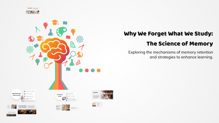 Why We Forget What We Study: The Science of Memory by Imane El brahmi ...
