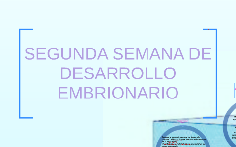 SEGUNDA SEMANA DE DESARROLLO EMBRIONARIO by on Prezi Next