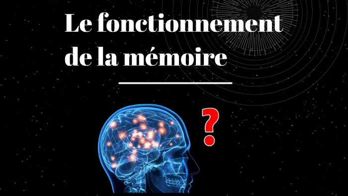 Le fonctionnement de la mémoire by Julie Cormoreche on Prezi