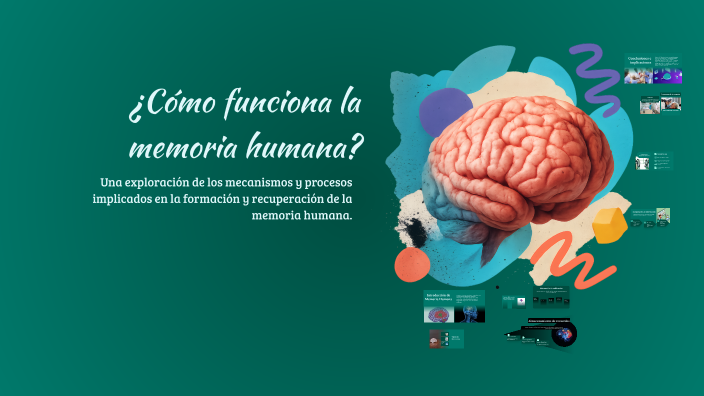 How Human Memory Works by ZOE ALVARADO on Prezi