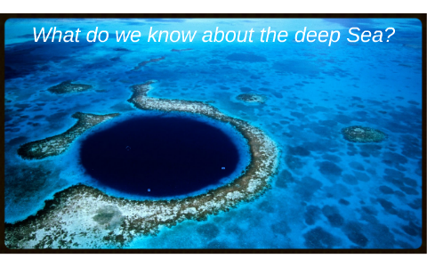 What do we know about the deep Sea? by Jorge Sanchez Abad on Prezi