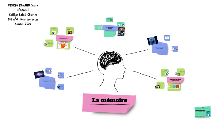 La mémoire by Laura Perrin Renaud on Prezi