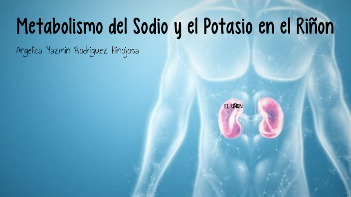 Metabolismo del Sodio y el Potasio en el Riñon by Angelicaa Rodriguez ...