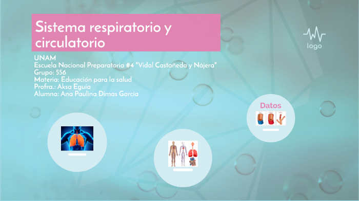 Sistema circulatorio y respiratorio (Mapa mental) by Paulina Dimas on Prezi