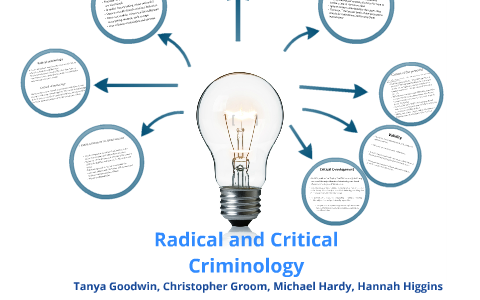radical criminology essay