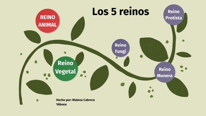 Los 5 Reinos By Malena Universe On Prezi