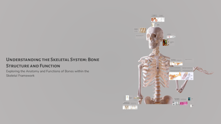 Understanding the Skeletal System: Bone Structure and Function by Nek O ...