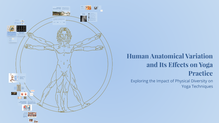 Physical Health Variations Human Anatomical Variation and Its Effects on Yoga Practice by Danielle ...