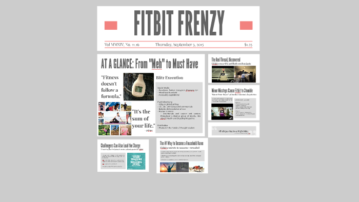 Fitbit zip case replacement picture