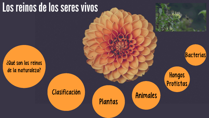 Reinos de la naturaleza by Maria Ibarra on Prezi