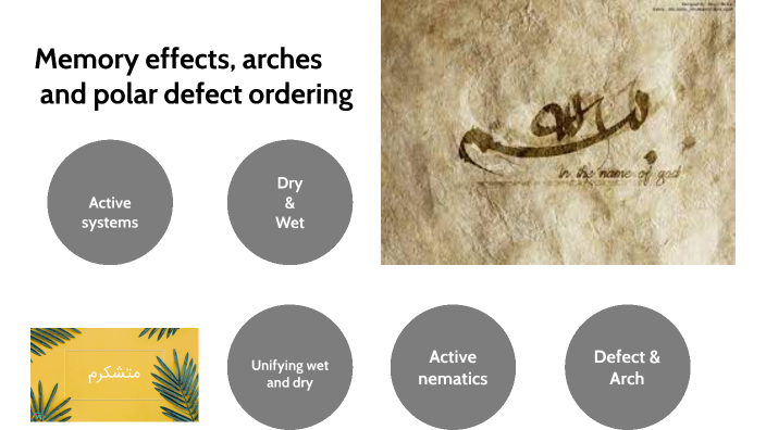 Defect dynamics in active nematics by Hassan Sarvejahani on Prezi