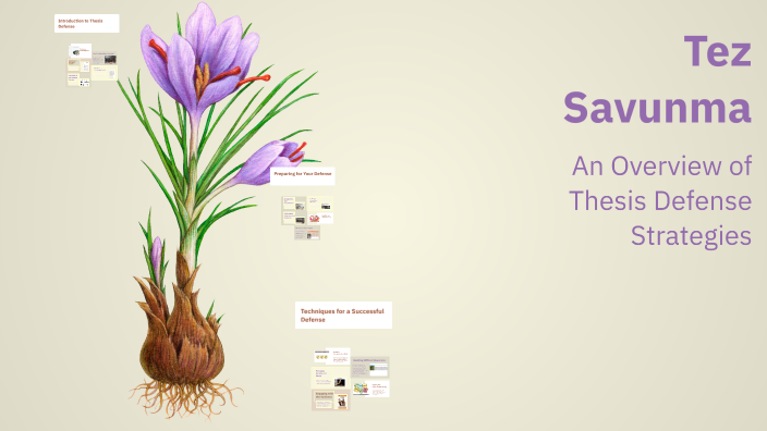 Tez Savunma by Zeynep Yaman on Prezi