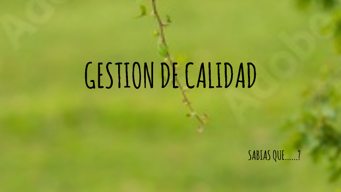 GESTION DE CALIDAD by andres donado on Prezi