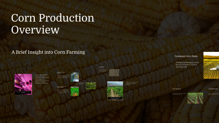 Corn Production Overview by Ed Sim Sabidor on Prezi