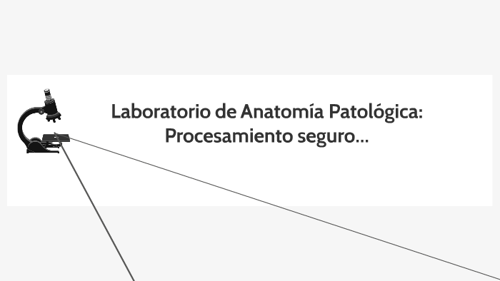 Procesamiento Histologico By Ma.Eugenia Maydana On Prezi