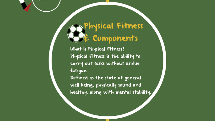 PHYSICAL FITNESS AND ITS COMPONENTS By Louise Zabalza