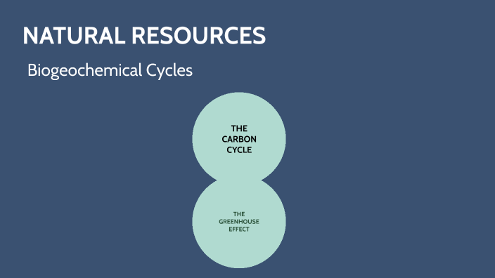 CARBON CYCLE by Stavya Shah on Prezi