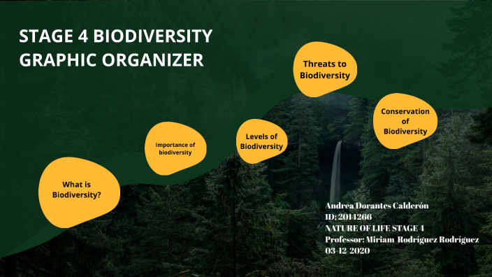 Biodiversity Introduction Graphic Organizer. Diversity of Species Level of  variety varies in different ecosystems Not all species on Earth have been  identified. - ppt download