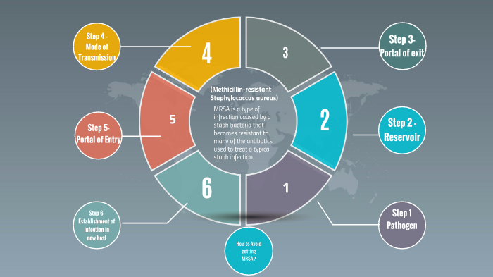 Breaking the Chain of Infection by Julie Wise on Prezi