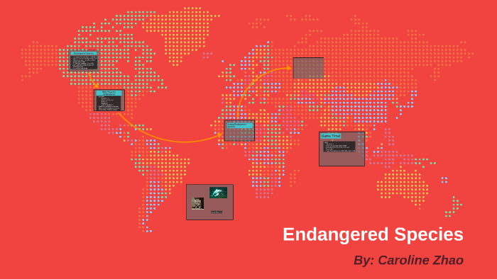 Endangered Species by Caroline on Prezi