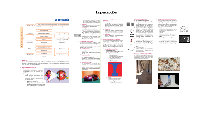 La percepción by Daniel Perea Vivanco on Prezi