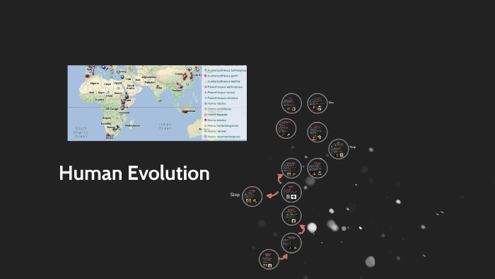 Human Evolution by Mackenzie Baier on Prezi