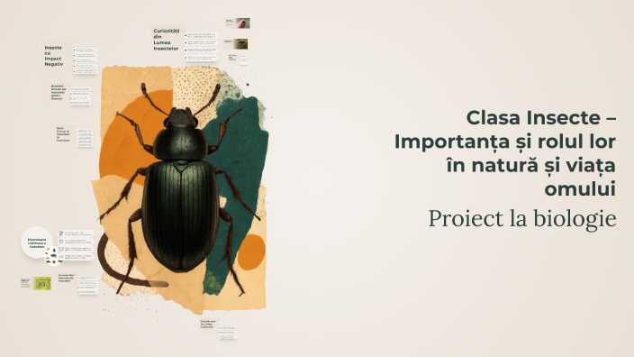 Clasa Insecte – Importanța și rolul lor în natură și viața omului by ...
