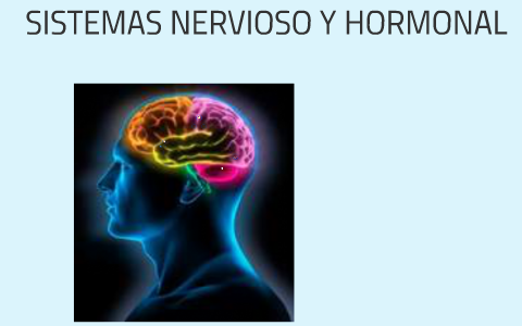 SISTEMAS NERVIOSO Y HORMONAL by manuma pernorgar