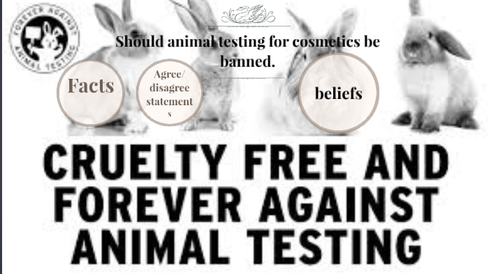 should animal testing for cosmetics be banned? by ryan thompson