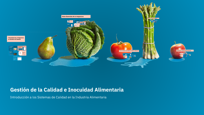 Gestión de la Calidad e Inocuidad Alimentaria by Desiderio Leines ...