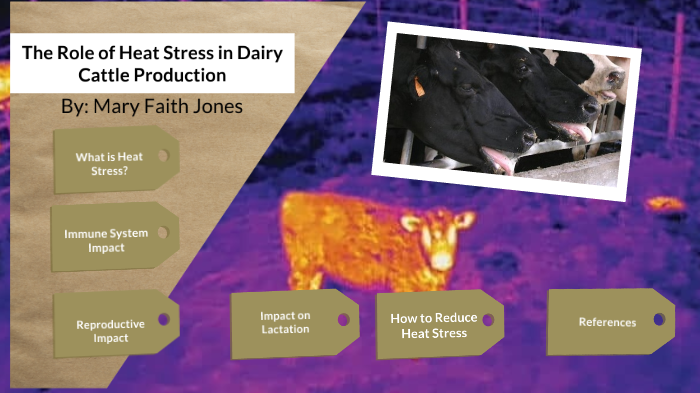 Heat Stress in Cattle Production by Mary Faith Jones on Prezi