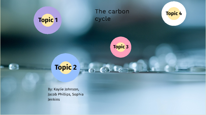 The Carbon Cycle by Kaylie Johnson on Prezi