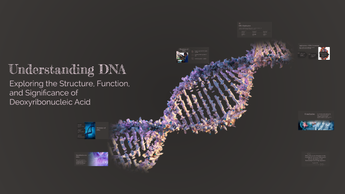 Understanding DNA by Marcus :D on Prezi