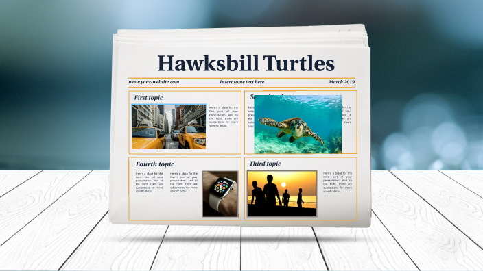 Hawksbill Turtle by Luke Wright on Prezi