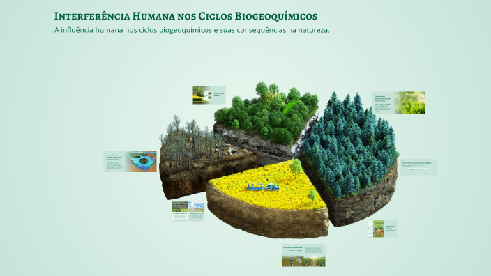 Interferência Humana nos Ciclos Biogeoquímicos by Pedro Henrique on Prezi