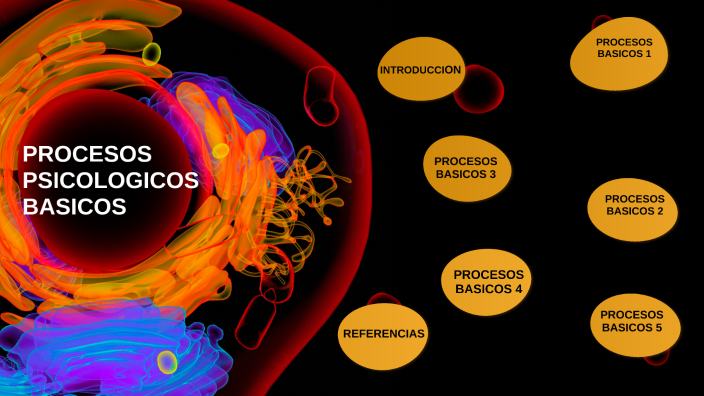 PROCESOS PSICOLOGICOS BASICOS By Angie Melo On Prezi Next