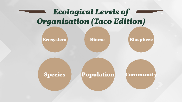 Ecological Levels Of Organisation By Ella Lindsay On Prezi