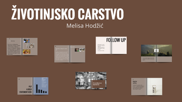 Životinje by melisa melisa on Prezi