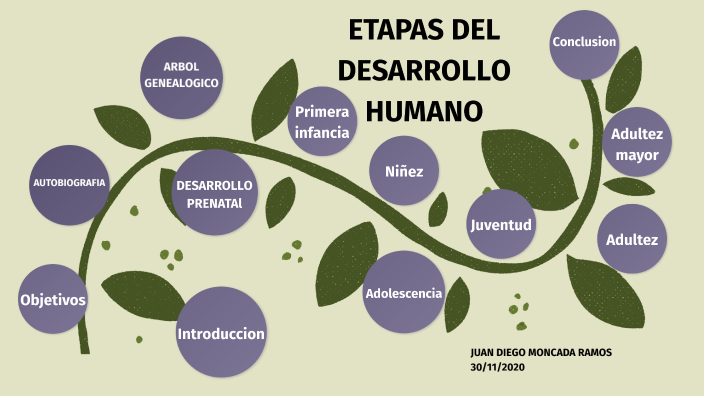 ETAPAS DEL DESARROLLO HUMANO by juan moncada ramos on Prezi Next