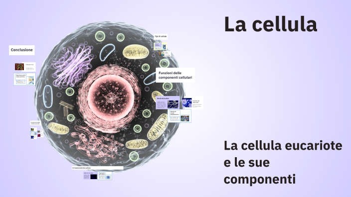 La cellula by Jennifer Basta on Prezi