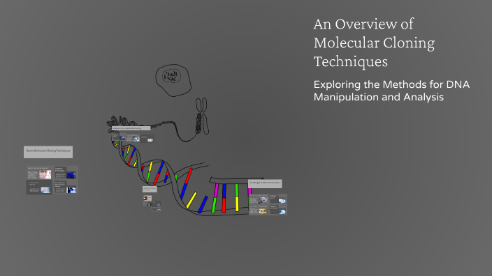 An Overview of Molecular Cloning Techniques by sundarapoczta on Prezi