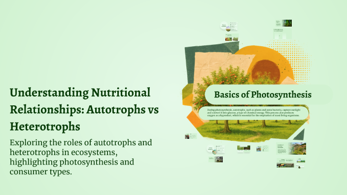 Understanding Nutritional Relationships: Autotrophs vs Heterotrophs by ...