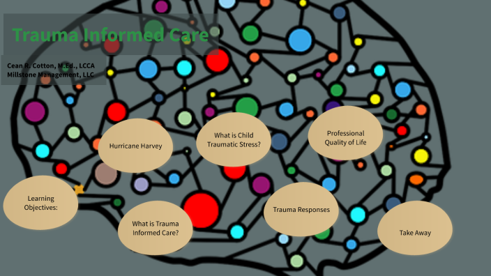 Trauma Informed Care by BreeBree Cotton on Prezi